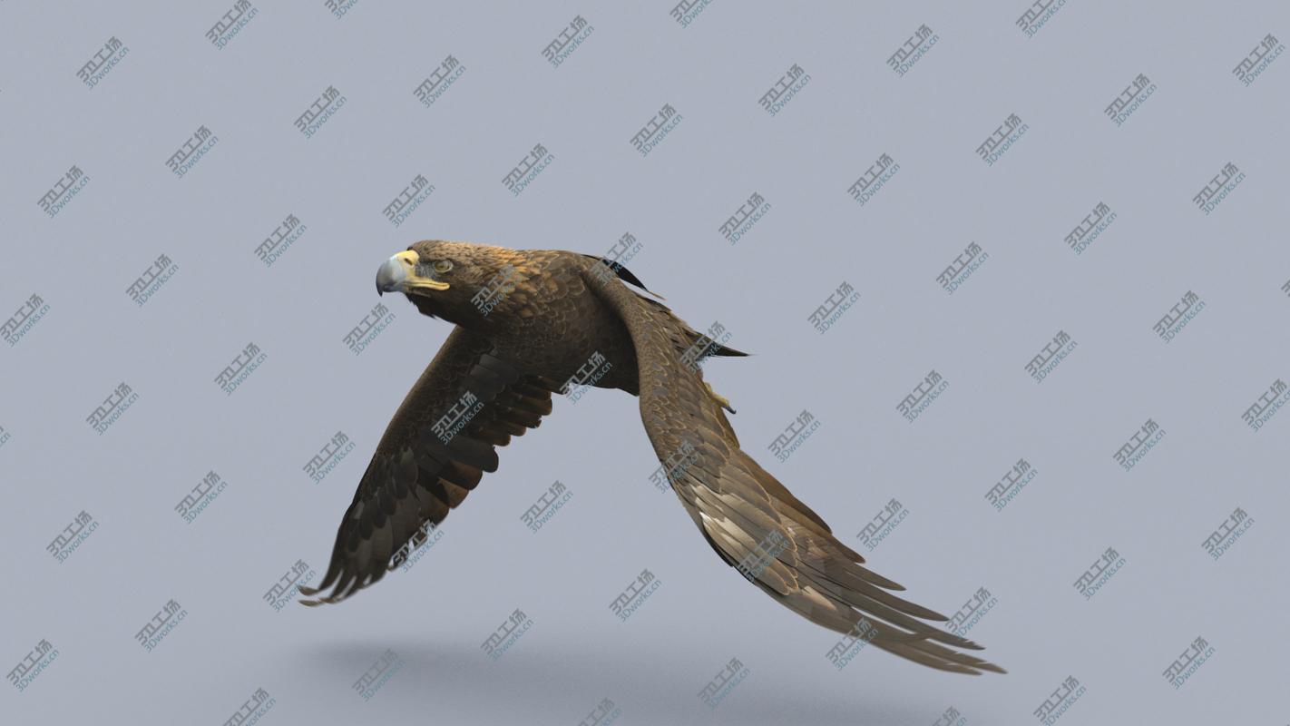 images/goods_img/20210113/Golden Eagle Animated 3D model/4.jpg